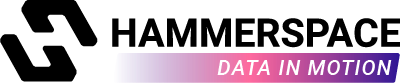 Hammerspace logo